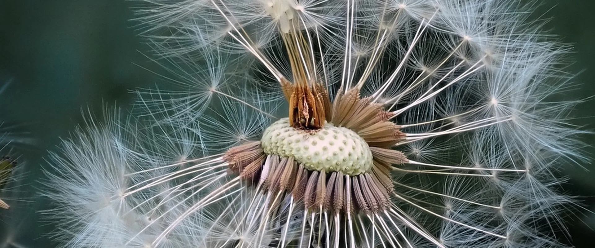 网赌网站PG电子